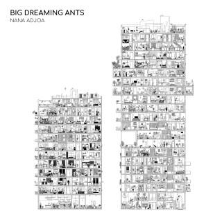 BIG DREAMING ANTS – NANA ADJOA