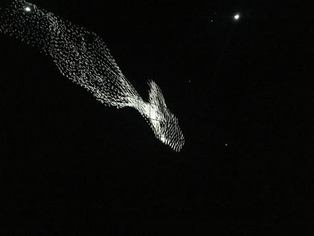 Faire corps, exposition d'Adrien M et Claire B à la Gaîté Lyrique, à Paris IMG_0597