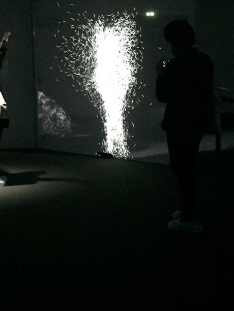 Faire corps, exposition d'Adrien M et Claire B à la Gaîté Lyrique, à Paris IMG_0608