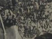 Rodolphe chasseur d'ours Jagden Beobachtungen