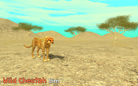 Télécharger Gratuit Wild Cheetah Sim 3D APK MOD (Astuce) 1