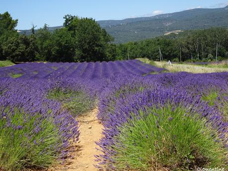 Vacances dans le Vaucluse - Roussillon (2) Le sentier des ocres