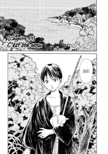 Walking cat #2 • Tomo Kitaoka