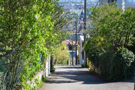 Une ruelle champêtre : la rue de la Cure d'Air à Nancy © French Moments