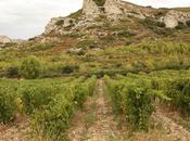 Dame Baux-de-Provence