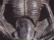 Vijnana Bhairava Awakening Through Pain