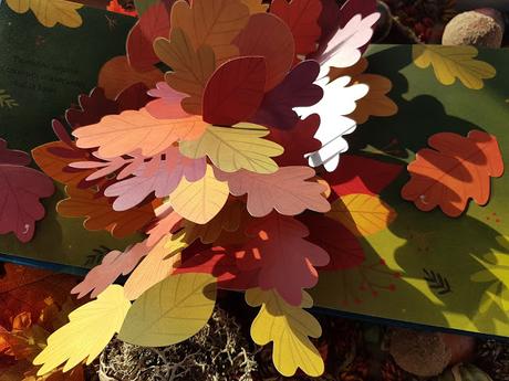 Couleurs de l'Automne - Découvre le monde fabuleux des feuilles en pop-up ❤❤❤