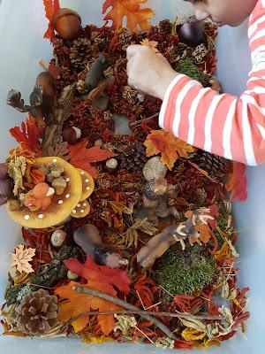 [ACTIVITES] : des activités et des loisirs pour l'automne.