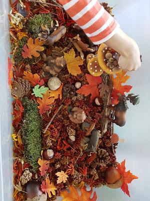 [ACTIVITES] : des activités et des loisirs pour l'automne.