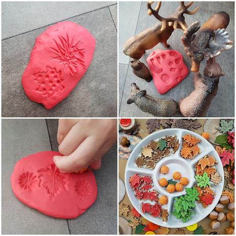 [ACTIVITES] : des activités et des loisirs pour l'automne.