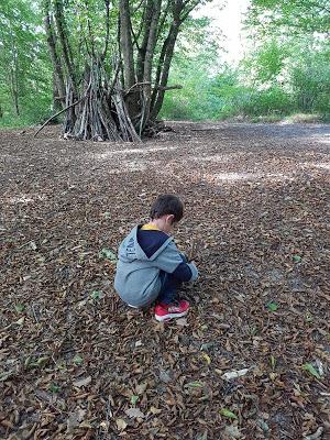 [ACTIVITES] : des activités et des loisirs pour l'automne.