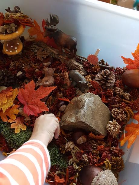 [ACTIVITES] : des activités et des loisirs pour l'automne.