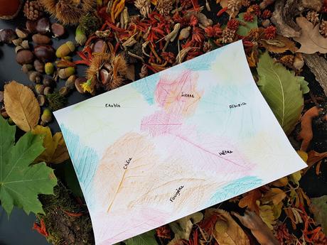 [ACTIVITES] : des activités et des loisirs pour l'automne.