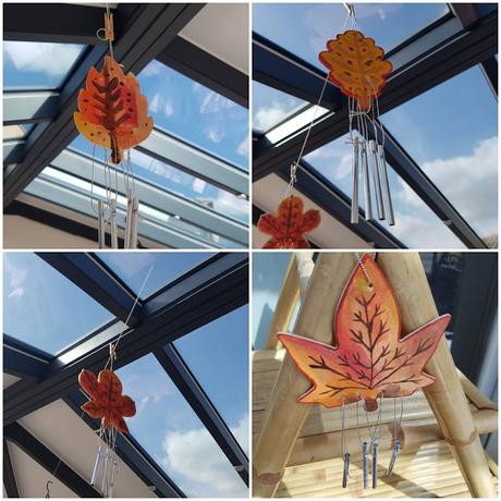 [ACTIVITES] : des activités et des loisirs pour l'automne.