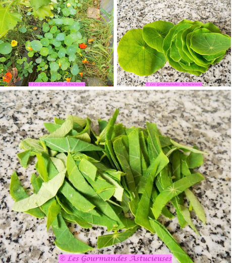 Tajine aux cyclanthères, courgette et pois cassés (Vegan)