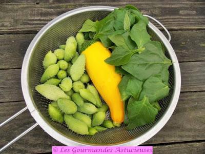 Tajine aux cyclanthères, courgette et pois cassés (Vegan)