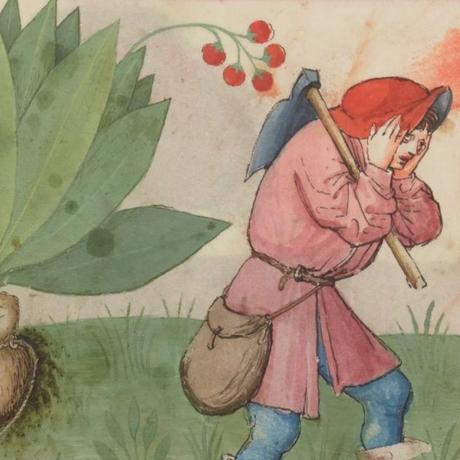 notre voix court de l'un à l'autre