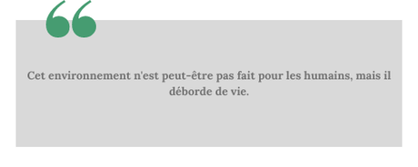 La légende de l’oiseau de feu (Aurora #2) • Vashti Hardy