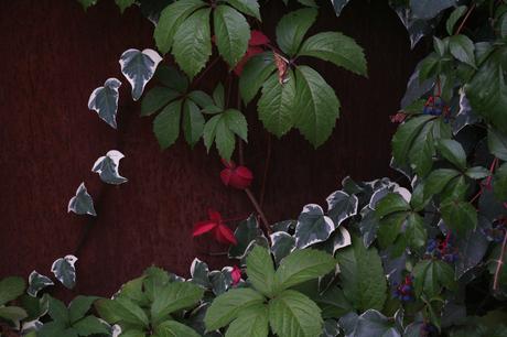 Un tour à Lille avec Tradi’Balade