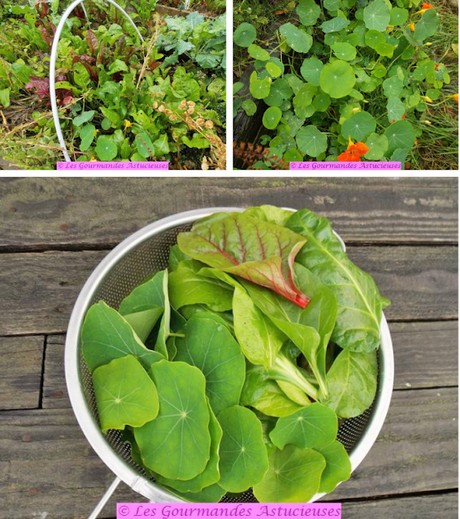 Risotto asiatique aux pois chiches (Vegan)