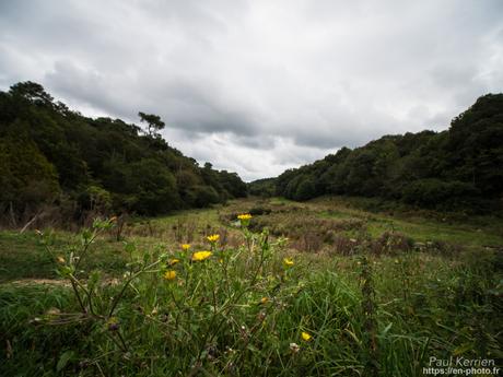 balade au bord de L'Odet #Gouesnach #Bretagne #Finistère