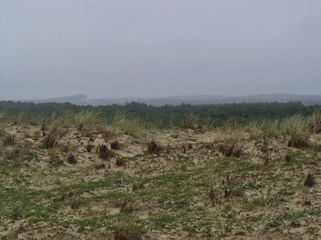 mais pour autant, j'apprends mais pour autant, j'apprends