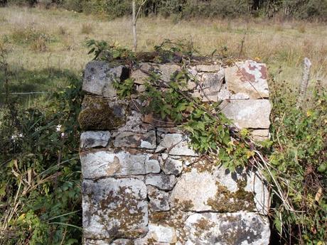 mais pour autant, j'apprends mais pour autant, j'apprends