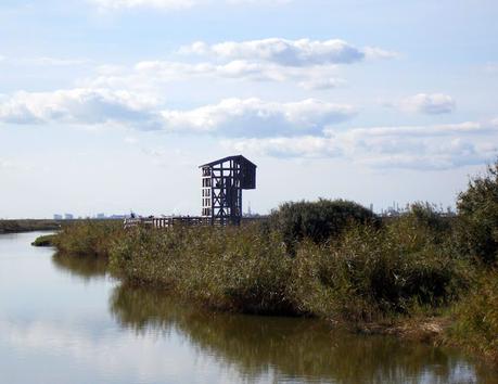 mais pour autant, j'apprends mais pour autant, j'apprends