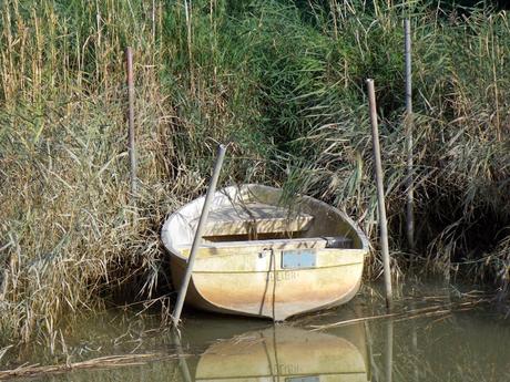 mais pour autant, j'apprends