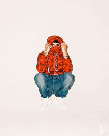 BAPE et la marque de Drake, OVO présentent leur collaboration