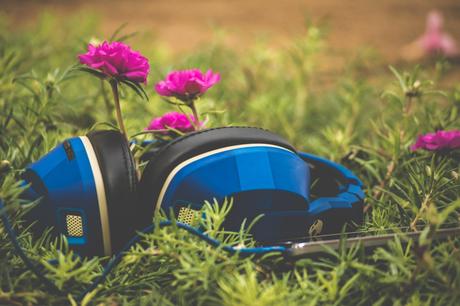 La musique et les plantes, une étrange découverte