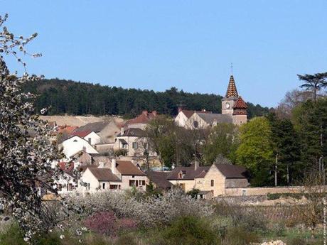 La France - La Bourgogne et ses vins