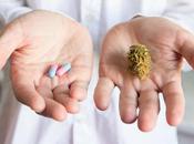 CANNABIS Quelle place dans gestion symptômes ménopause