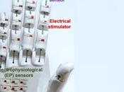 ÉLECTRONIQUE CAOUTCHOUTEUSE Vers semi-conducteurs super-extensibles