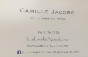 Une artiste découverte ce jour – par hasard !!!! Camille Jacobs