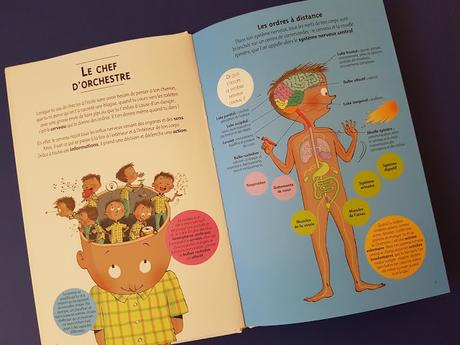 Mon corps est génial ! Son organisation intérieure - Ses échanges avec l'extérieur de Cristina Junyent et illustré par Cristina Losantos