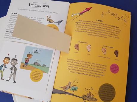 Mon corps est génial ! Son organisation intérieure - Ses échanges avec l'extérieur de Cristina Junyent et illustré par Cristina Losantos