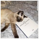 Les métamorphoses - Camille Brunel