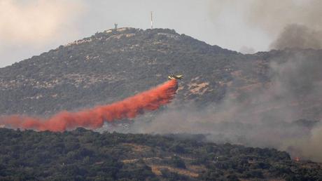 Les feux de forêt qui ont touché le Liban et la Syrie maîtrisés
