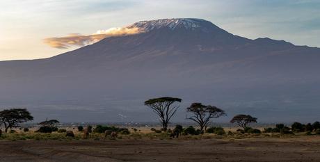 A la découverte du Kilimandjaro