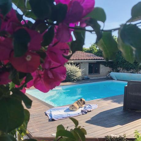 piscine terrasse bois maison provence - blog déco - clematc