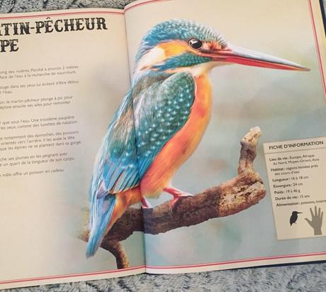 Le Livre extraordinaire des oiseaux spectaculaires – Tom Jackson et Val Walerczuk