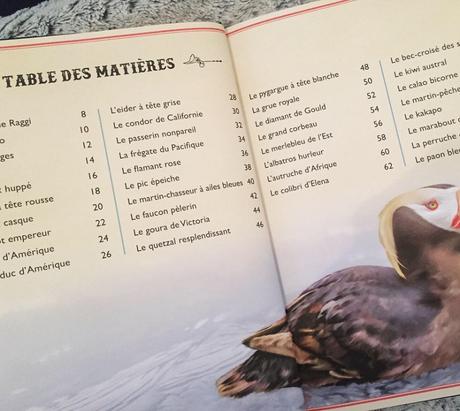 Le Livre extraordinaire des oiseaux spectaculaires – Tom Jackson et Val Walerczuk