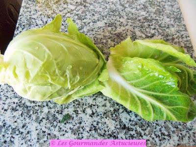 Chou braisé et tofu fumé fait maison (Vegan) Chou braisé et tofu fumé fait maison (Vegan)
