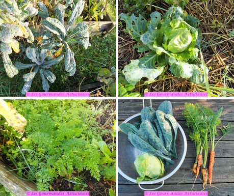 Chou braisé et tofu fumé fait maison (Vegan) Chou braisé et tofu fumé fait maison (Vegan)