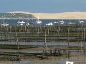 Réceptionniste avec