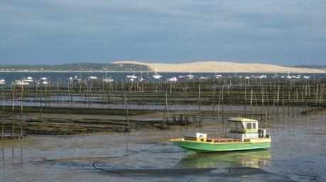 Réceptionniste avec vue Réceptionniste avec vue