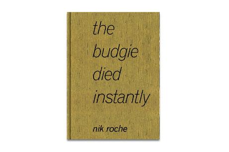 NIK ROCHE – THE BUDGIE DIED INSTANTLY
