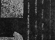 Nicole Brossard laisse tout cela dire]