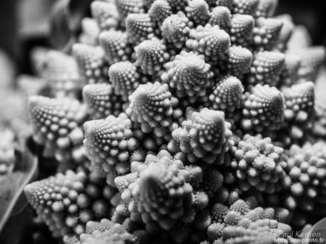 octobre, le mois du chou romanesco #Bretagne #Finistère octobre, le mois du chou romanesco #Bretagne #Finistère